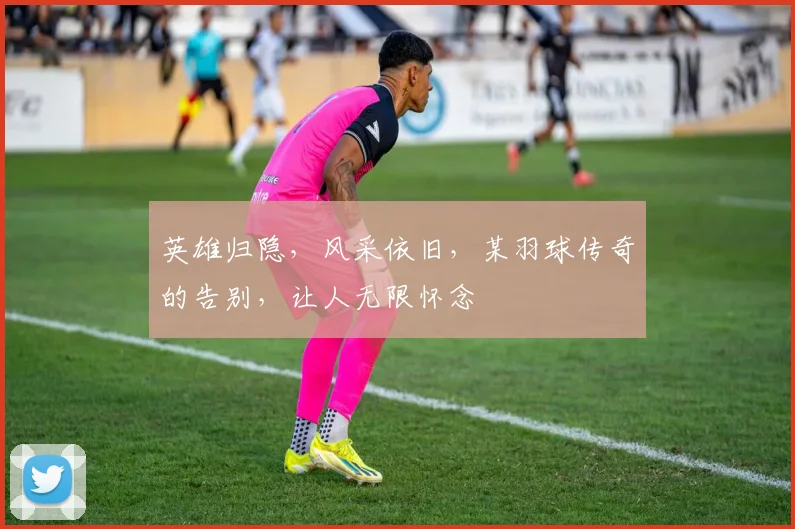 英雄归隐，风采依旧，某羽球传奇的告别，让人无限怀念